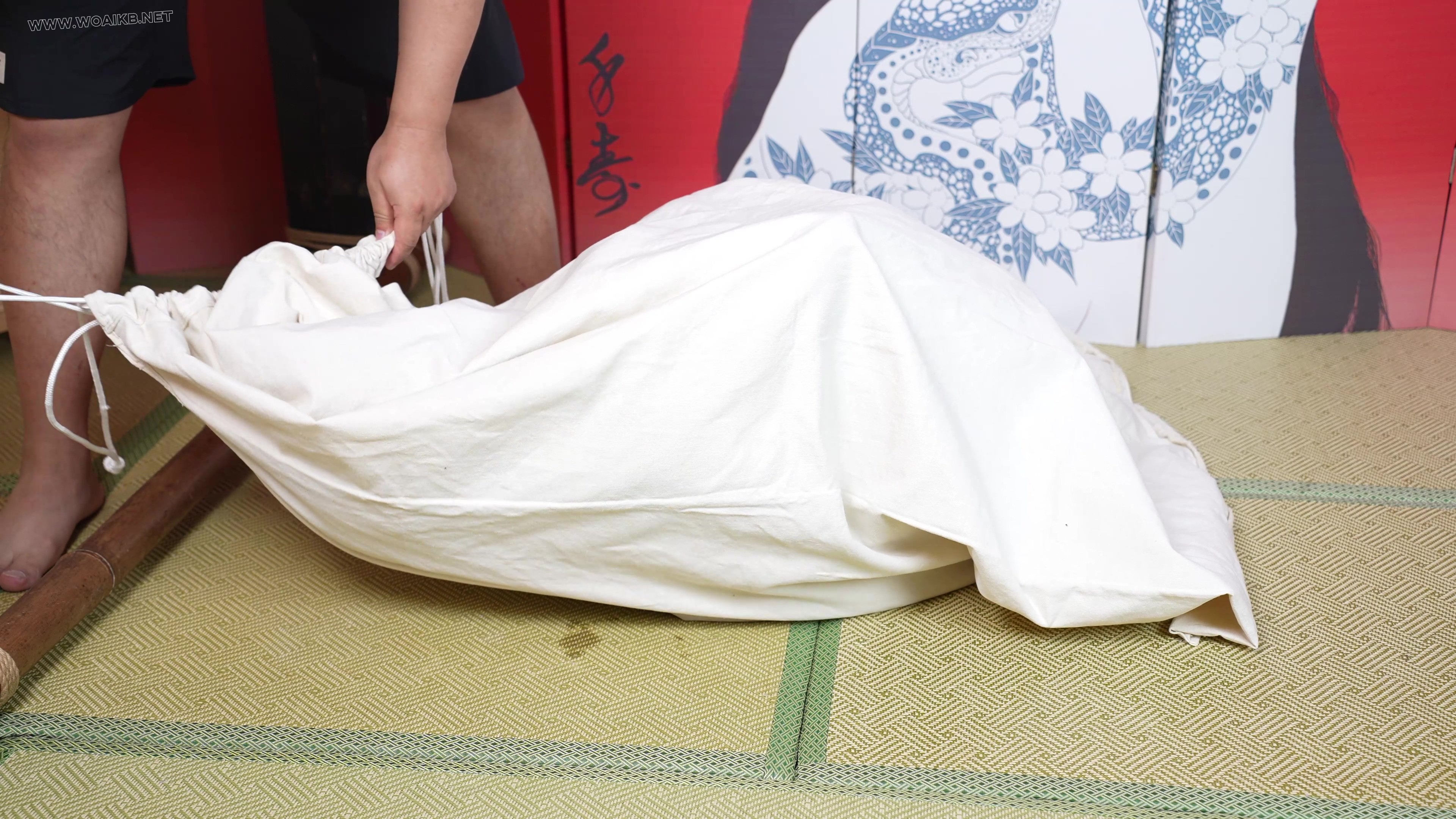 小0-cos格蕾修，极限驷马吊缚涂摸润滑油，海老缚，后高手放置装袋 预览图 30