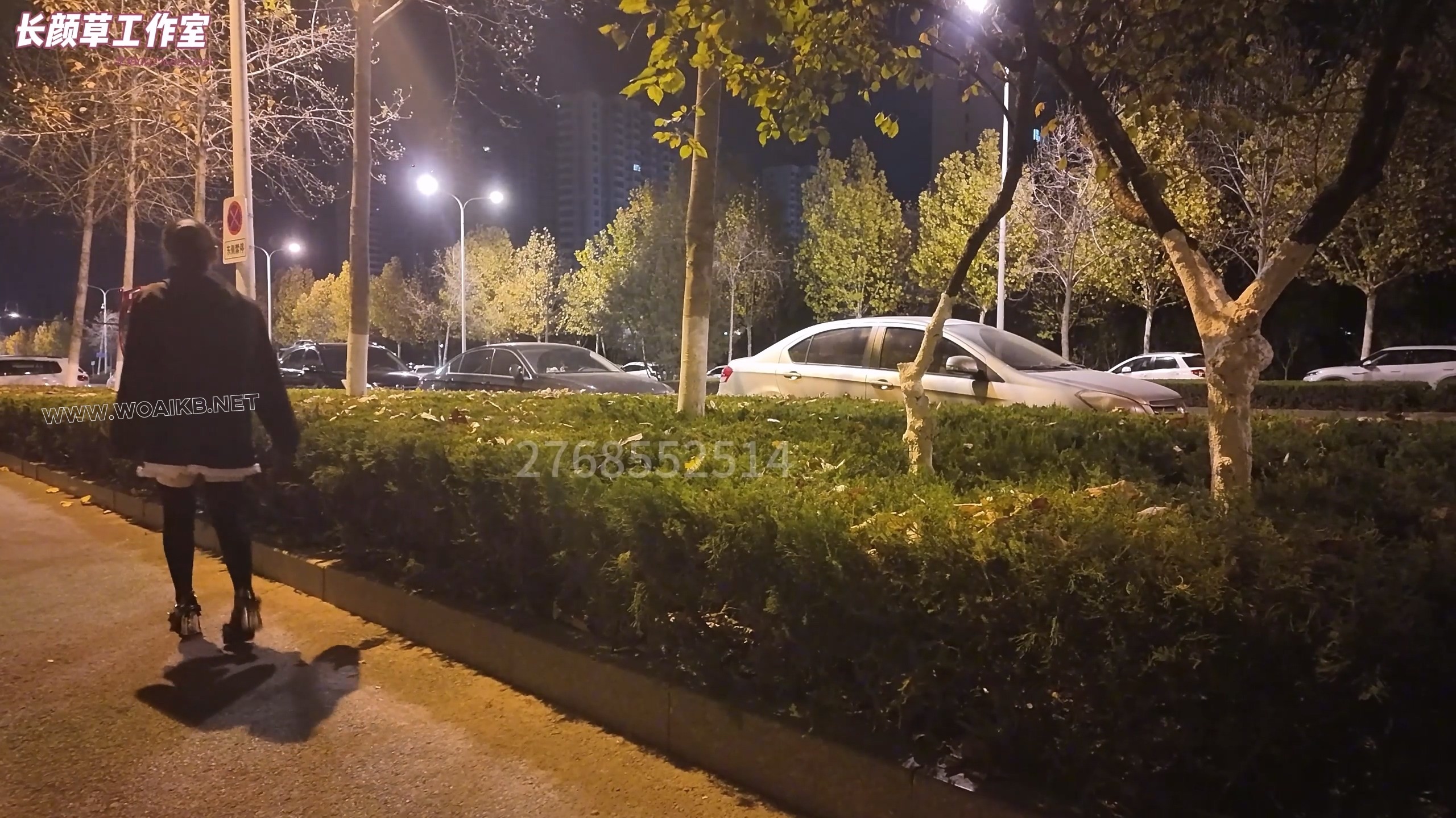 霜喵3小时囚禁调教加公厕调教上集 电击 小玩具爽的全身抽搐 镣铐 封耳 口球 蒙眼 ... 预览图 2