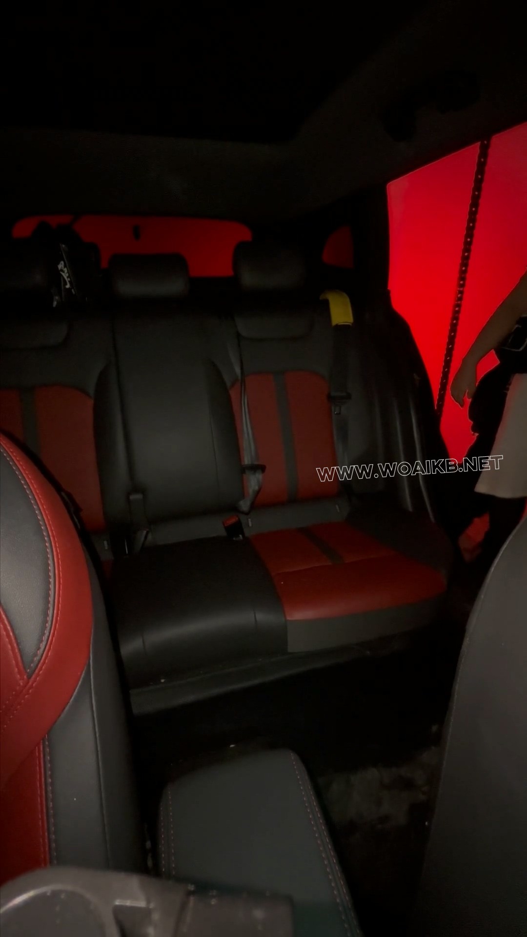 情人节意外捡到一个醉酒纹奴纹女生 户外捆绑带走