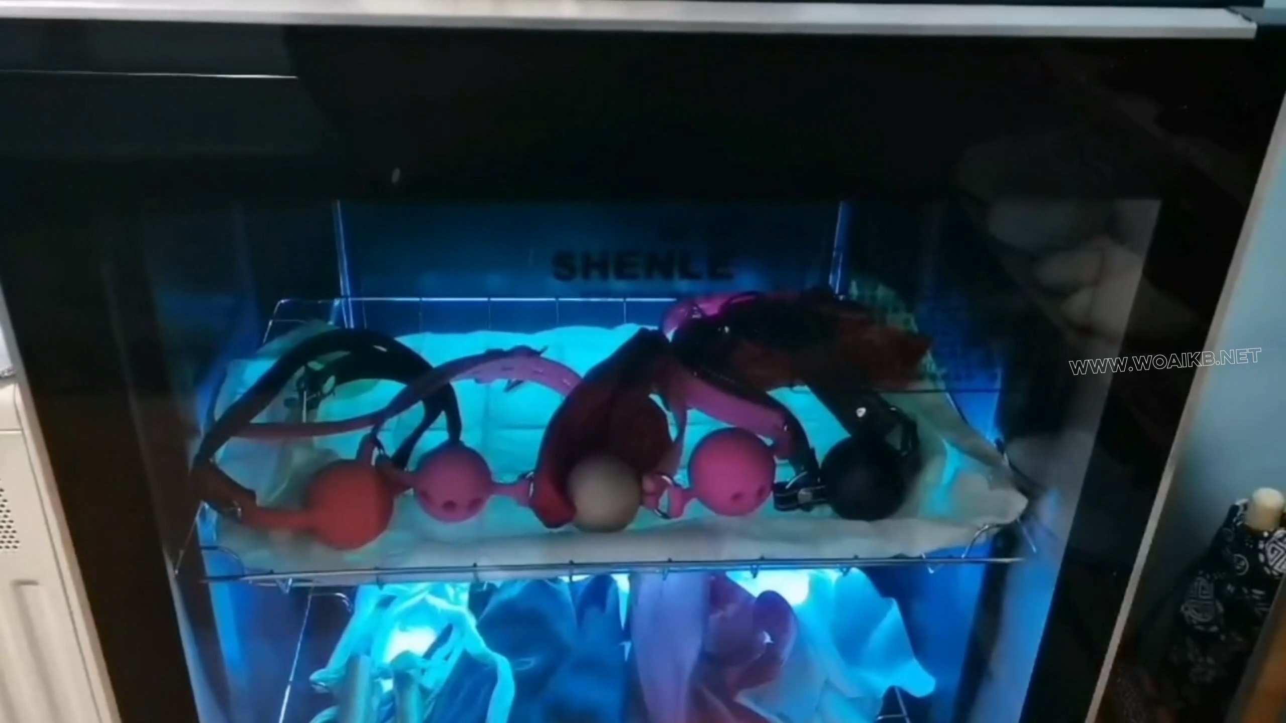 小0. 挣扎的束缚女王(上编)