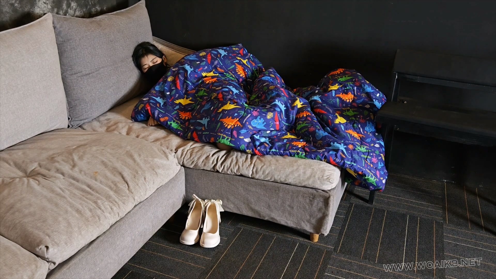 定拍汤圆k9训练学狗狗撒尿狗盆进食