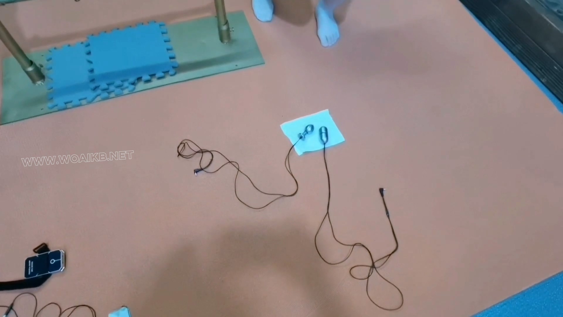 月仙儿被禁锢在拘束上，郊狼电击升到270，同时又振动，电击lu头，鞭打TK,最后被折…