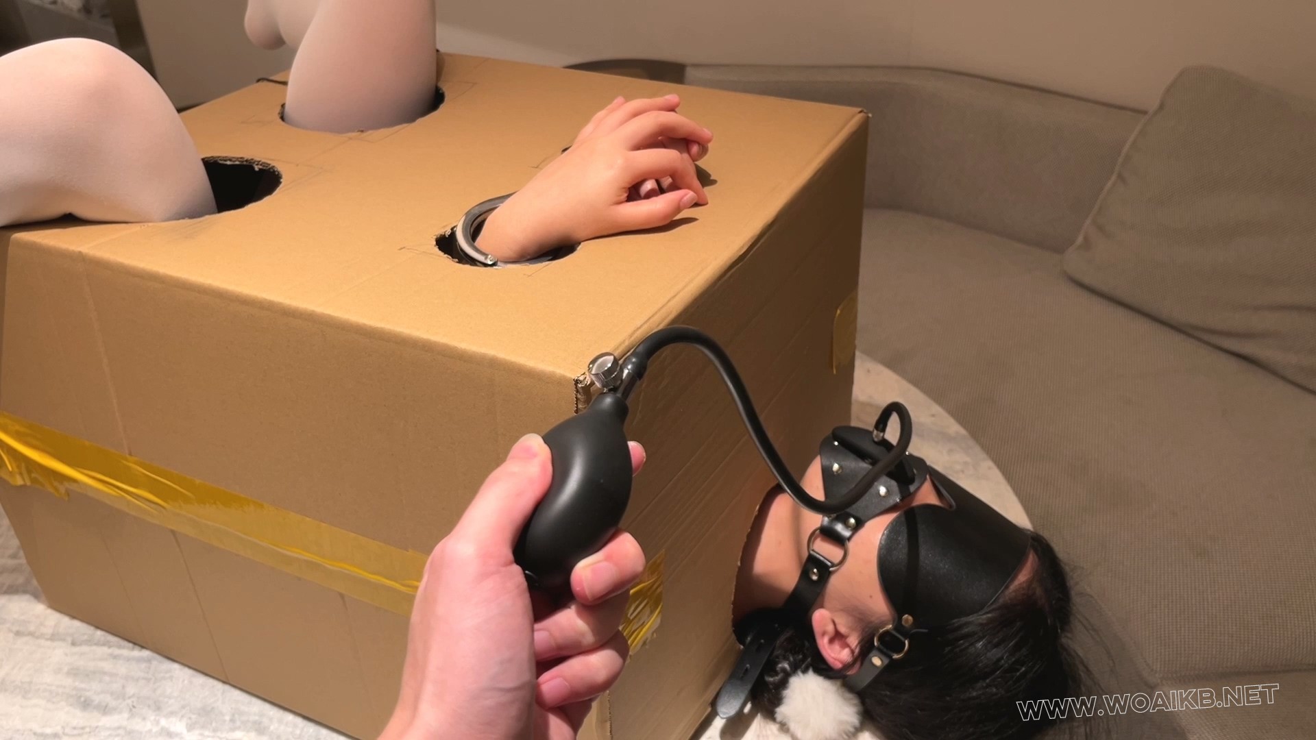 【箱子改造计划beta1.0】郊狼、无内白丝、CHA入式YYDS