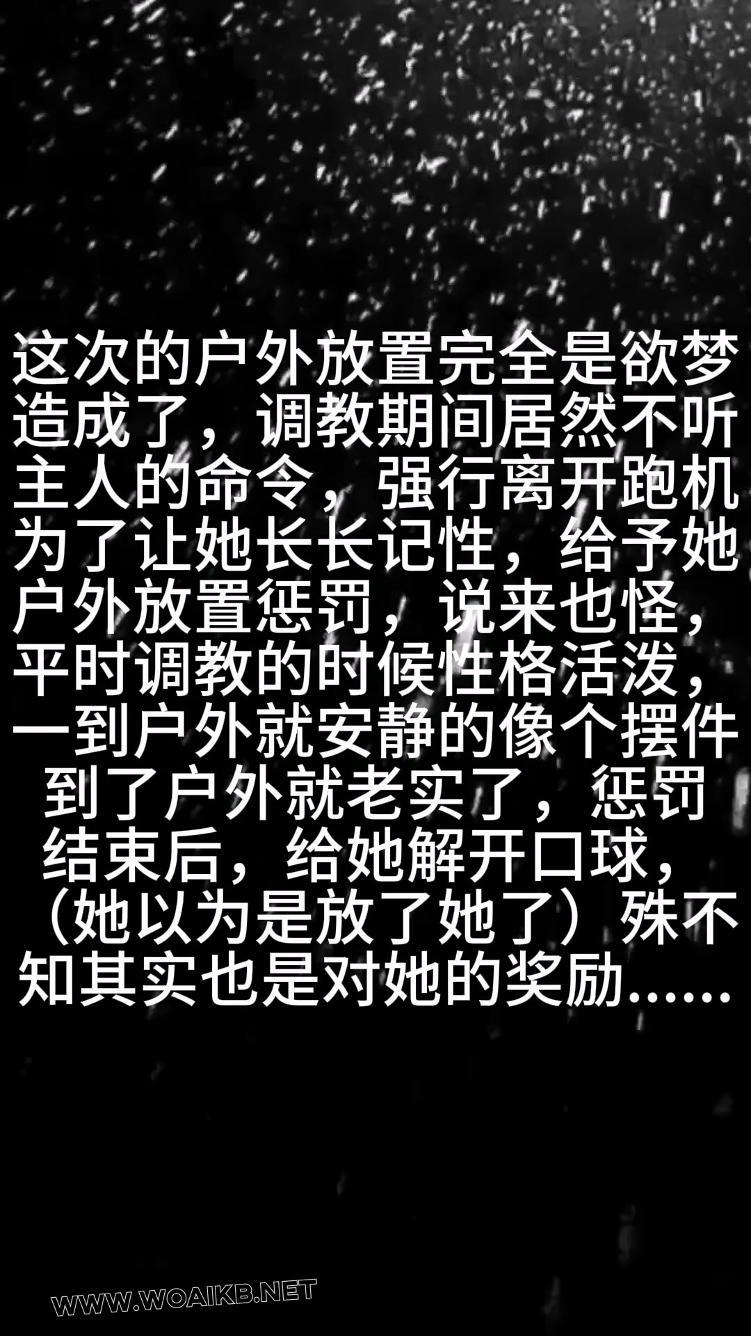 第七十二部 客户定拍《调教叛逆之户外惩罚》+结尾奖励