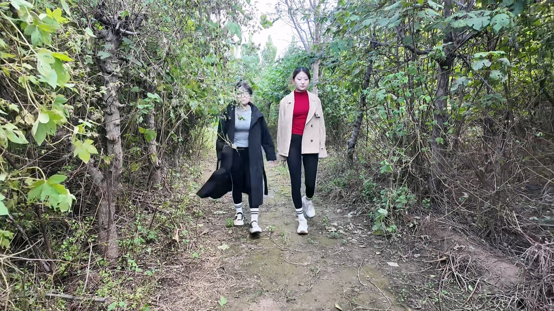 踏青之TK、SP游戏上集