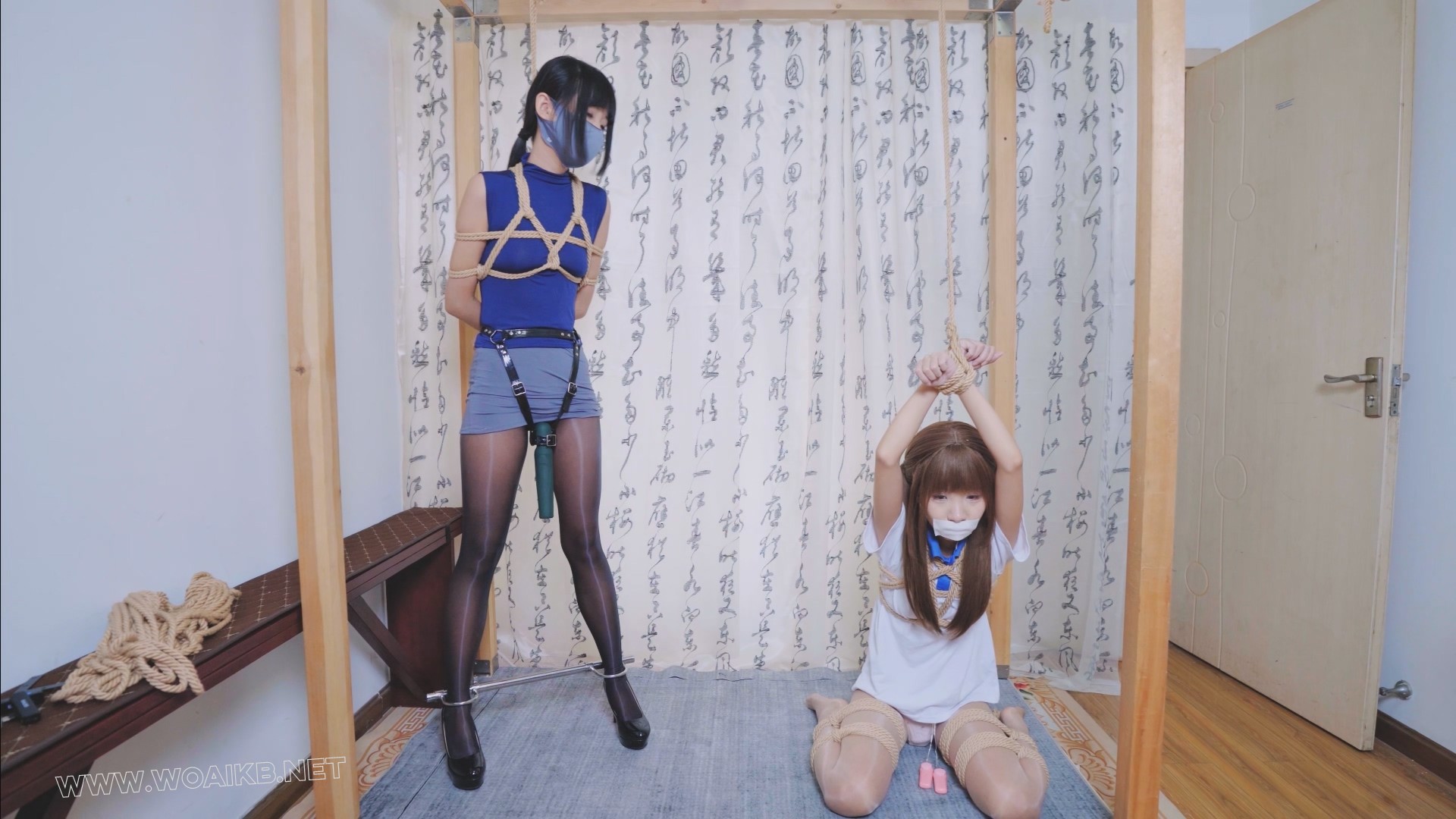 入室绑架姐妹花 预览图 8