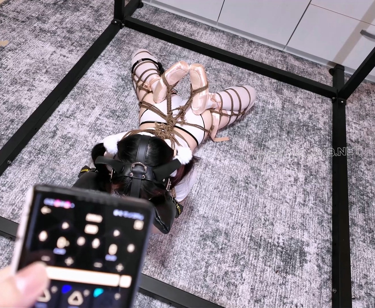 「草莓定拍」「体操服幼犬」K9超大绳量犬缚、郊狼任务电击、PJ插入强制gc！ 预览图 3