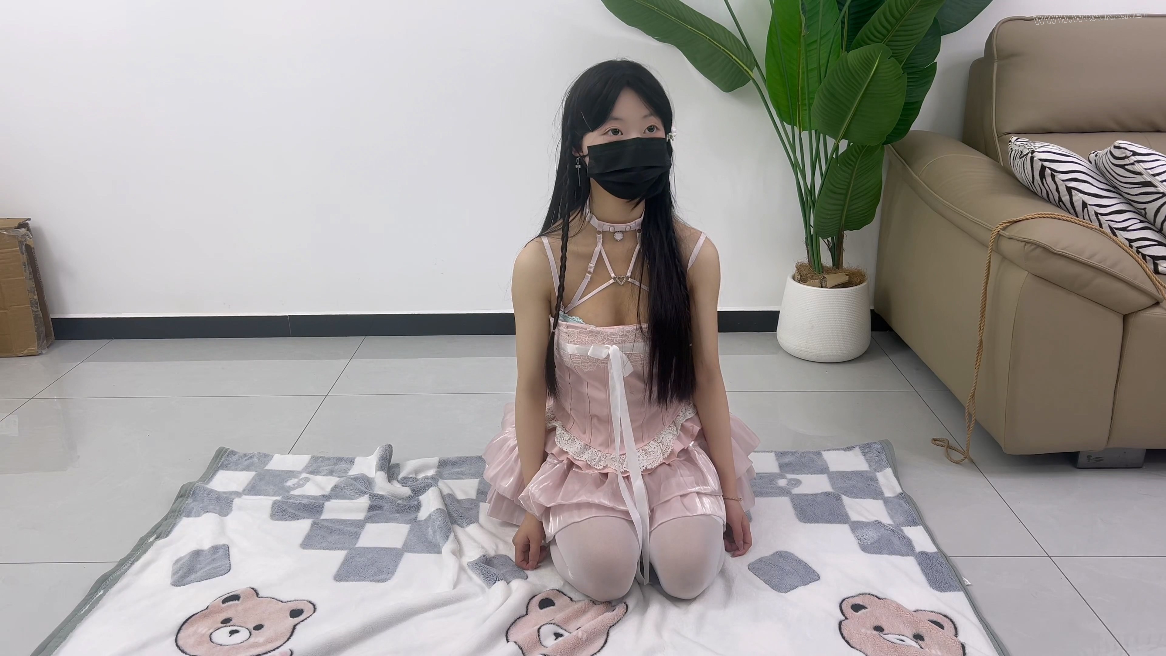 电子宠物之新的开始（新人养成系，快来领取你的电子宠物吧）