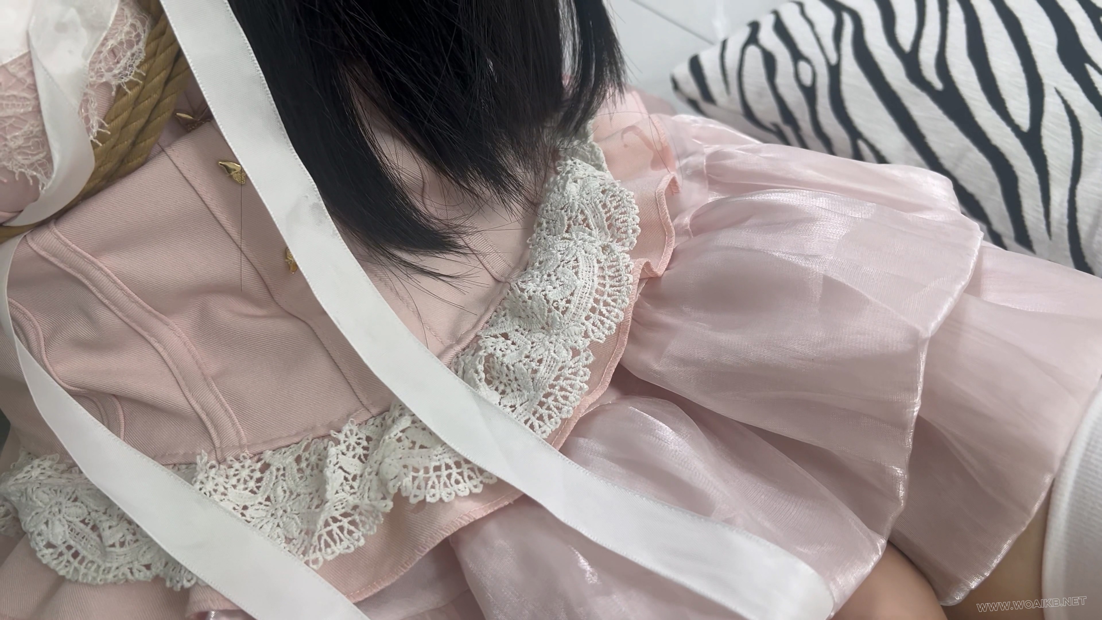 电子宠物之新的开始（新人养成系，快来领取你的电子宠物吧） 预览图 11