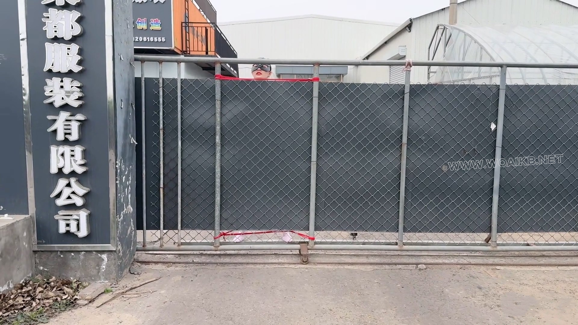 绝望的看门狗-抽c震d高c流水