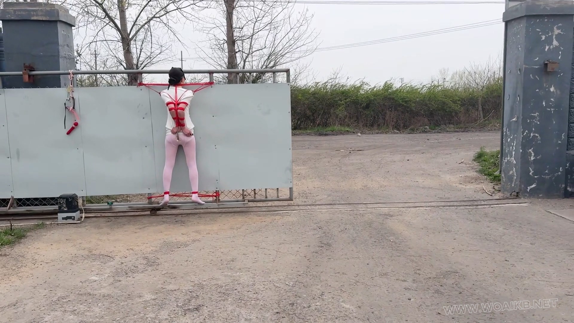 绝望的看门狗-抽c震d高c流水 预览图 2