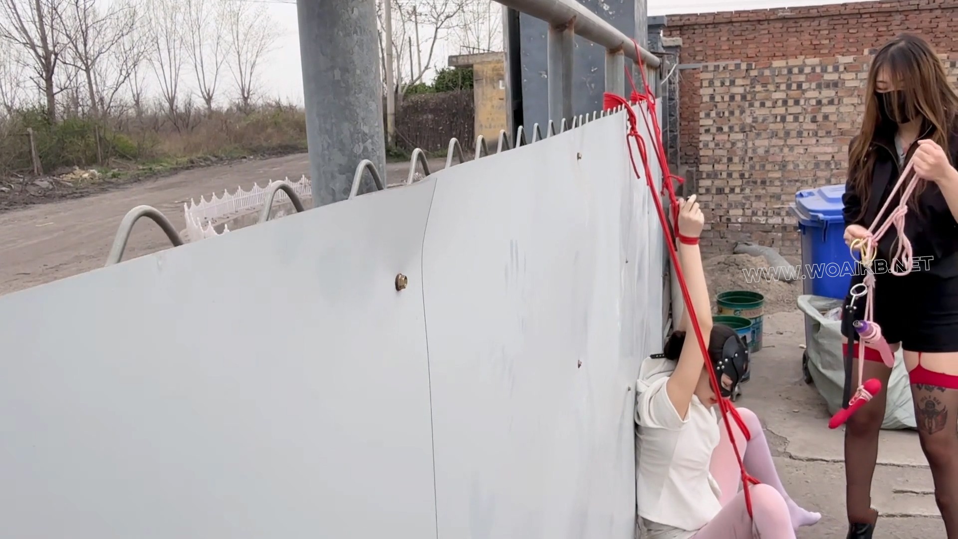 绝望的看门狗-抽c震d高c流水 预览图 14