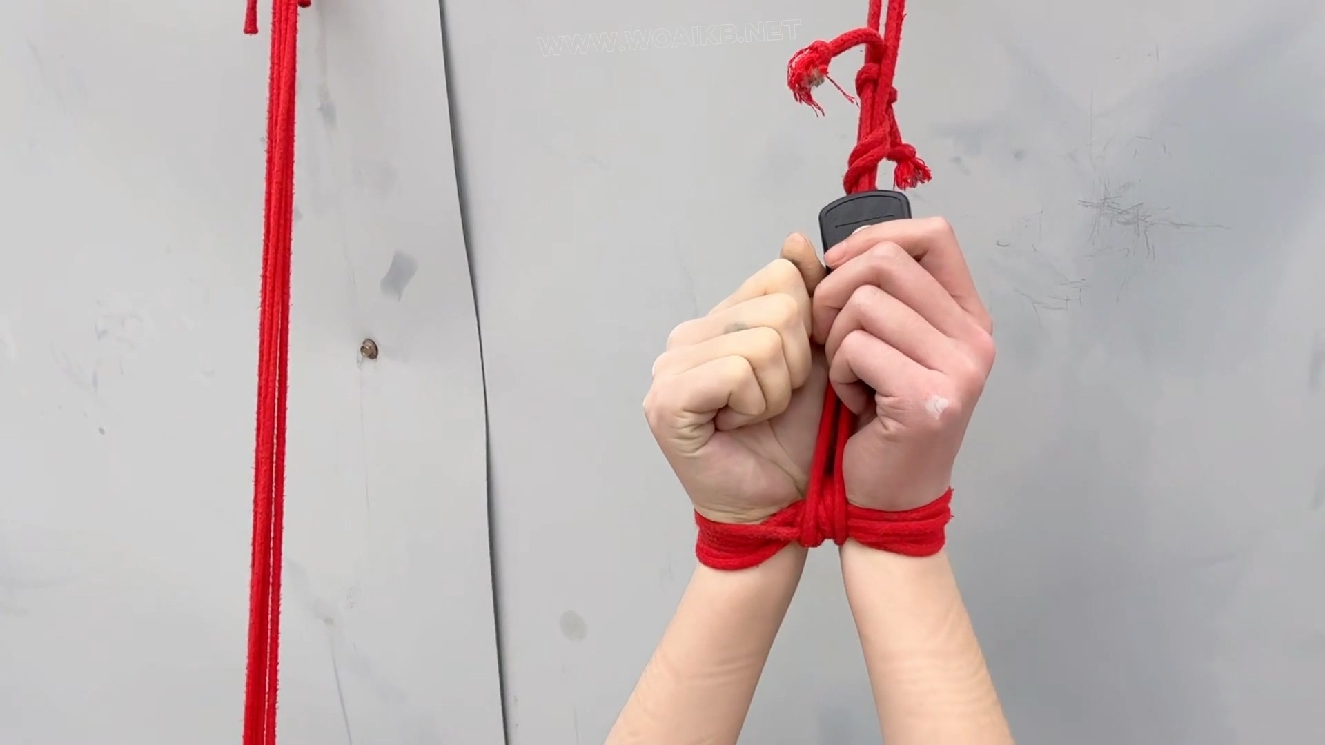 绝望的看门狗-抽c震d高c流水 预览图 15