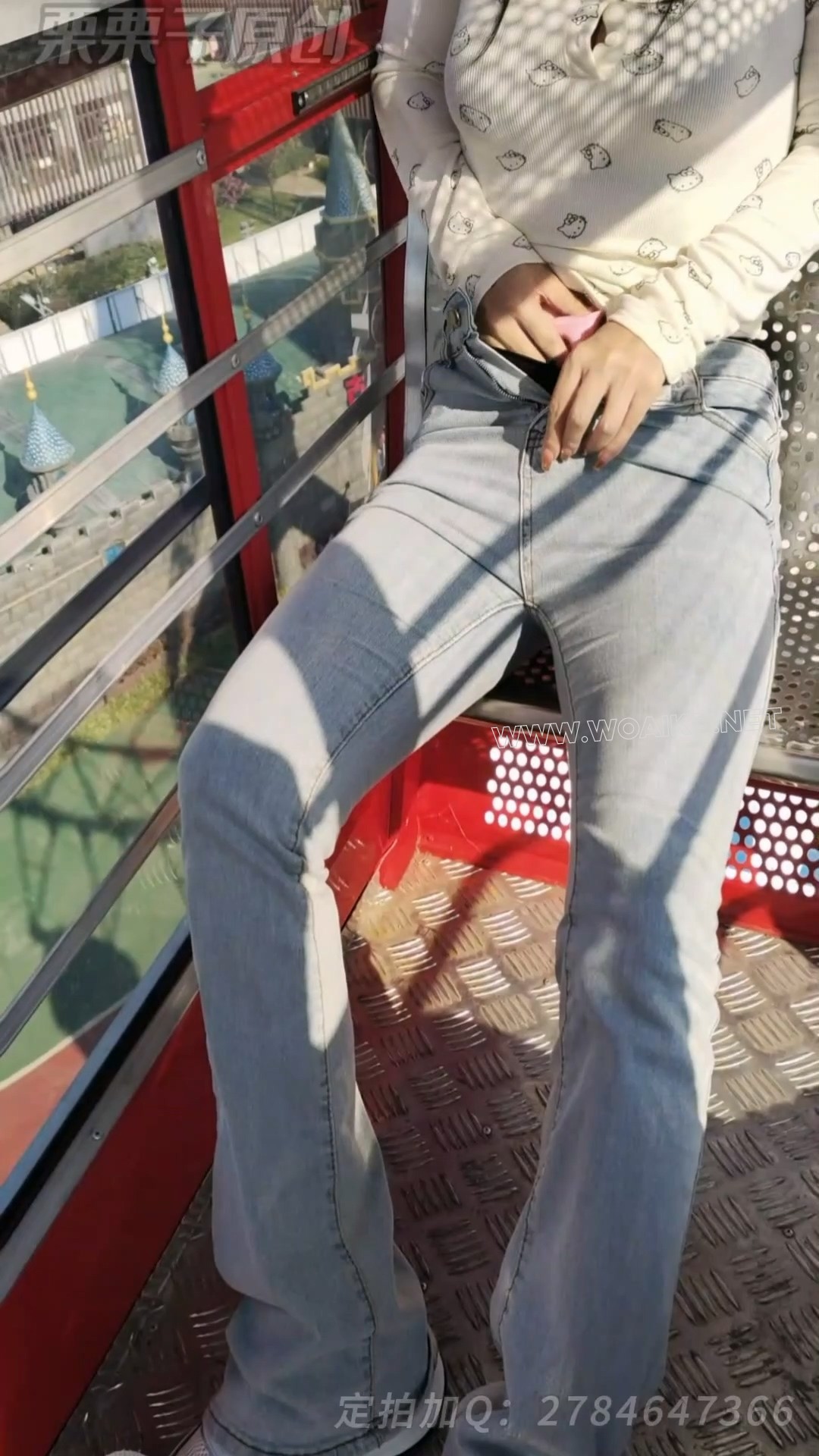 《搔首弄姿的女网红 03》 户外强高、户外调教、摩天轮强高、失禁、游乐园强高、假... 预览图 3