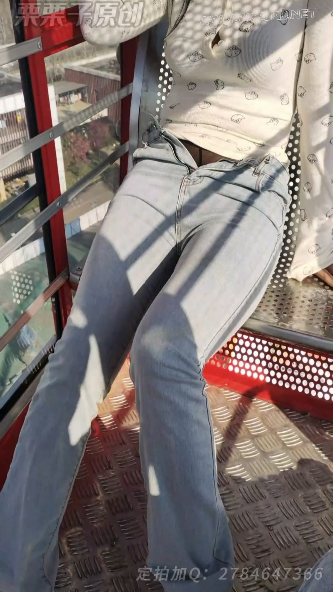 《搔首弄姿的女网红 03》 户外强高、户外调教、摩天轮强高、失禁、游乐园强高、假... 预览图 7