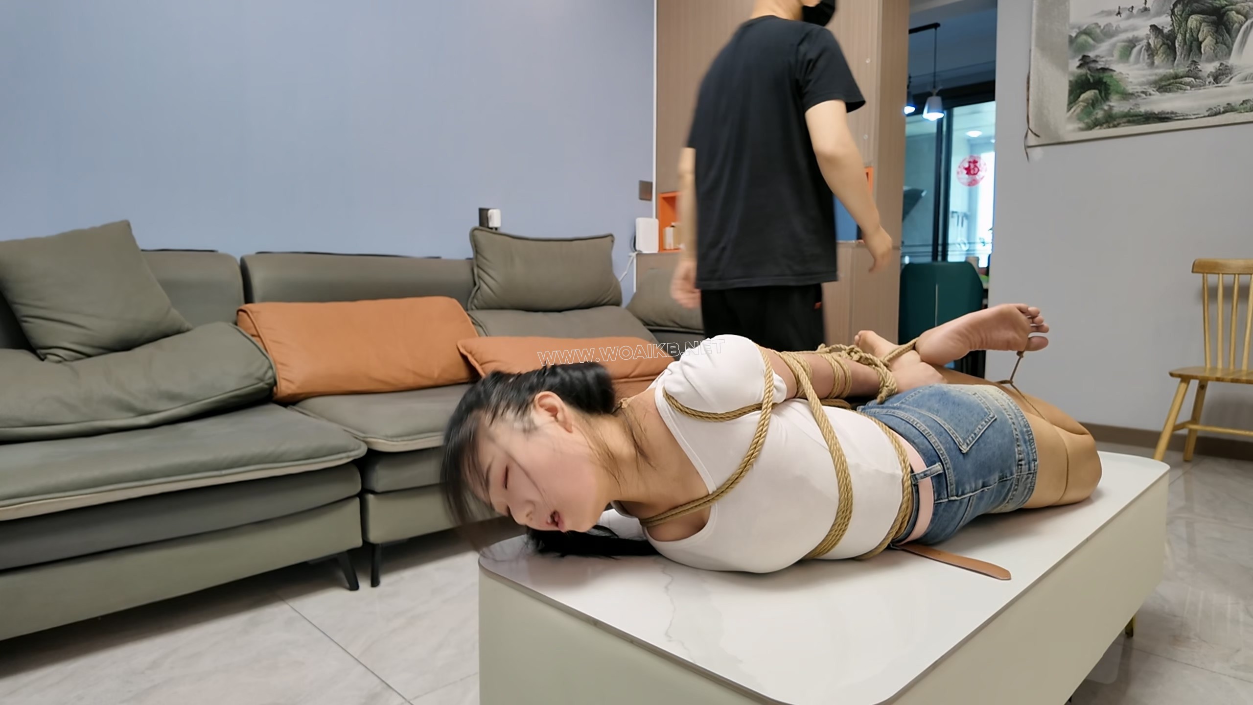 小遥刑讯训练上集 预览图 17