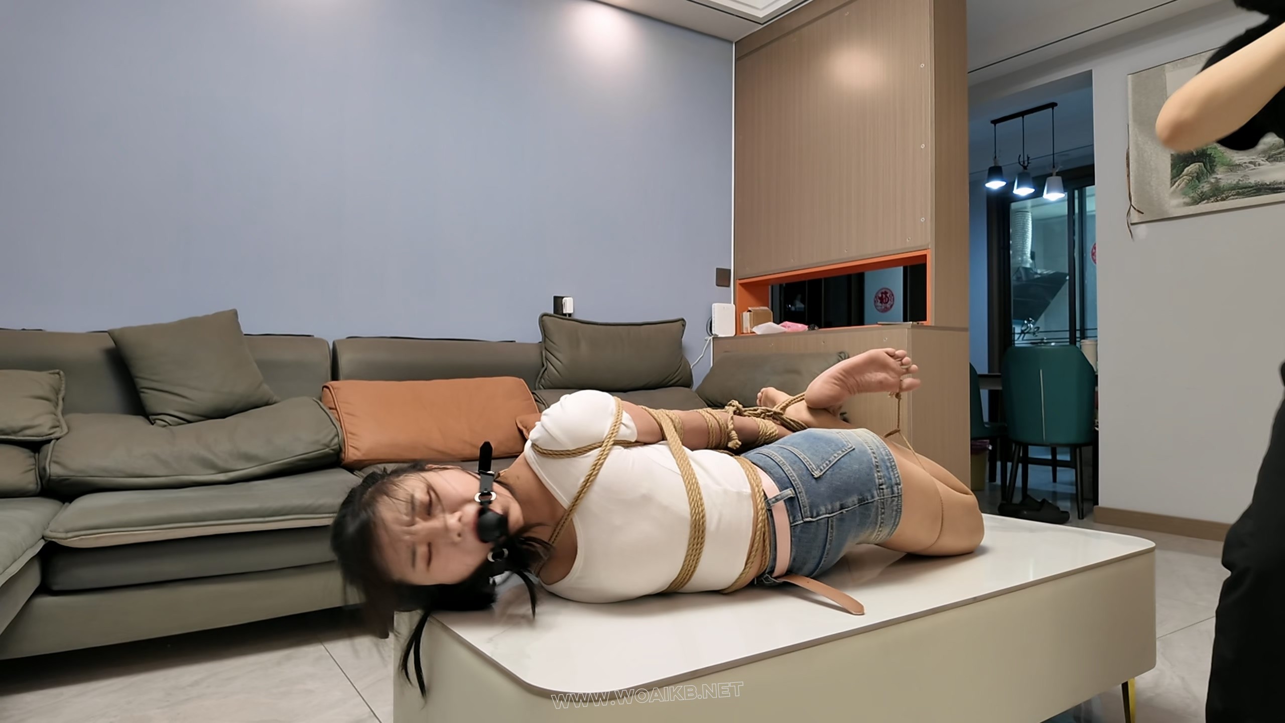 小遥刑讯训练上集 预览图 19