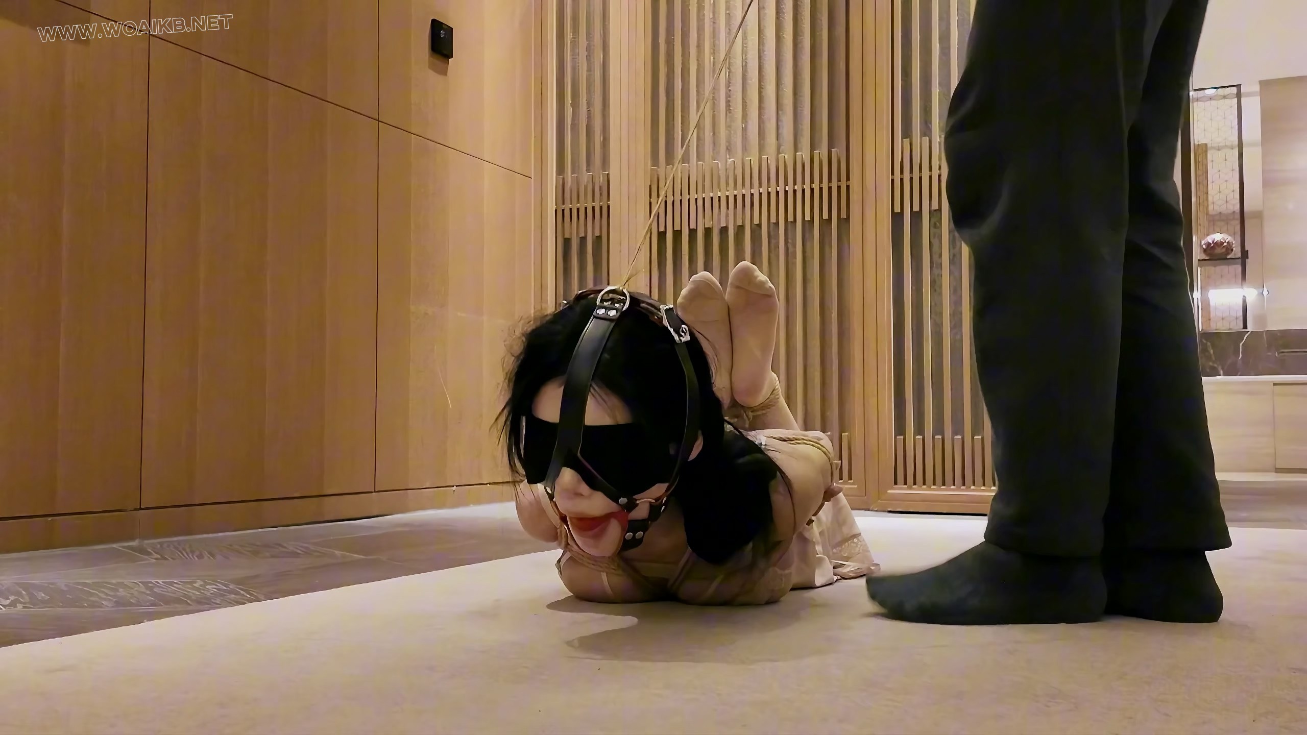 第十九部《人妻惩戒所 汤圆篇》（中集） 预览图 9
