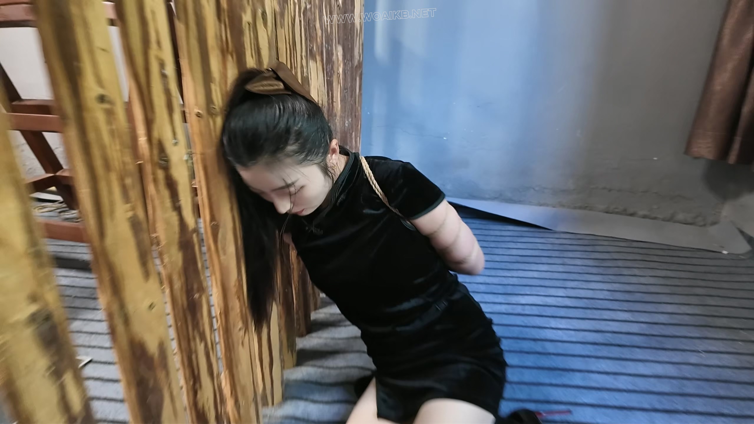 枪决罪犯佳佳 预览图 1