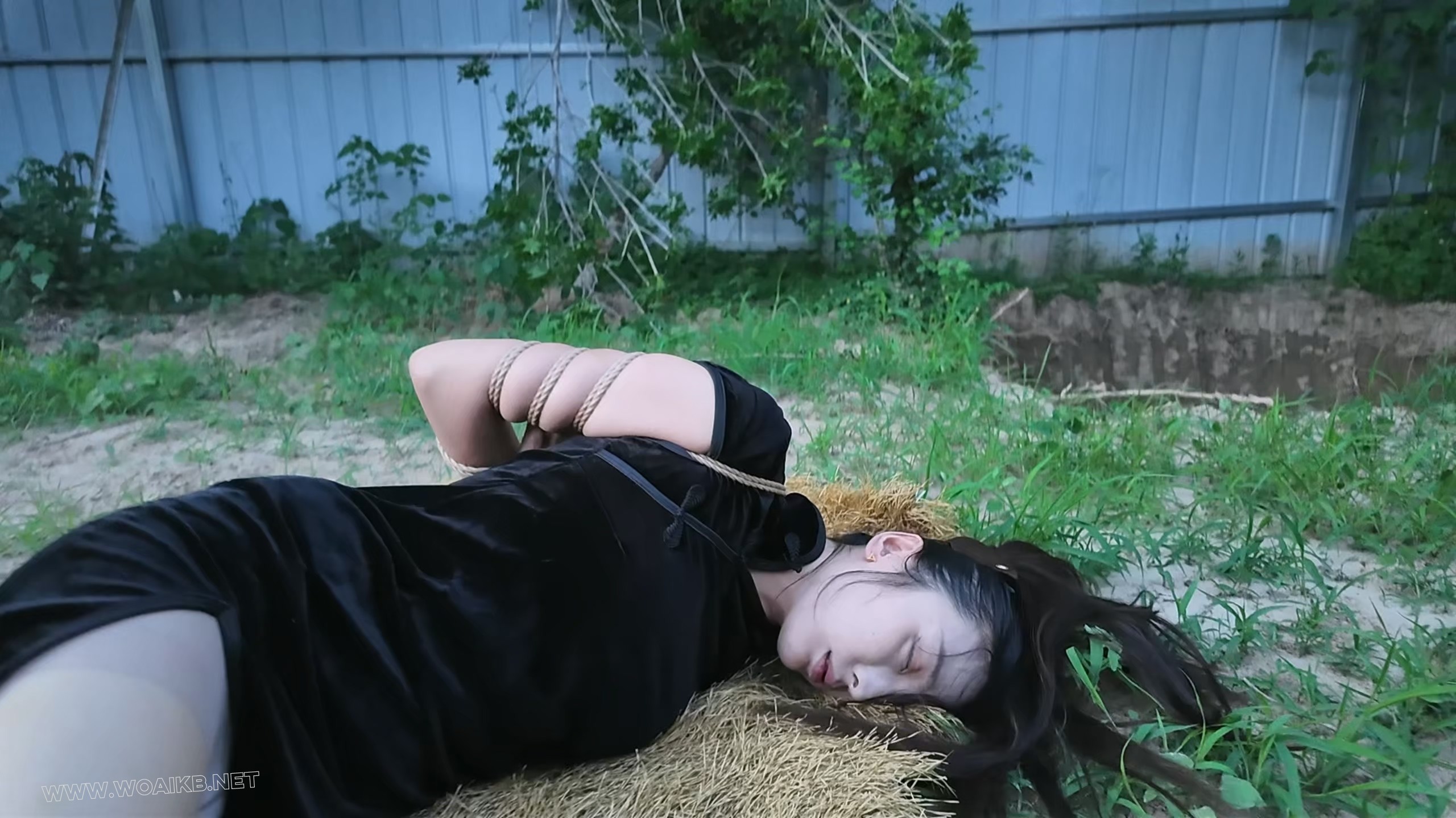 枪决罪犯佳佳 预览图 19