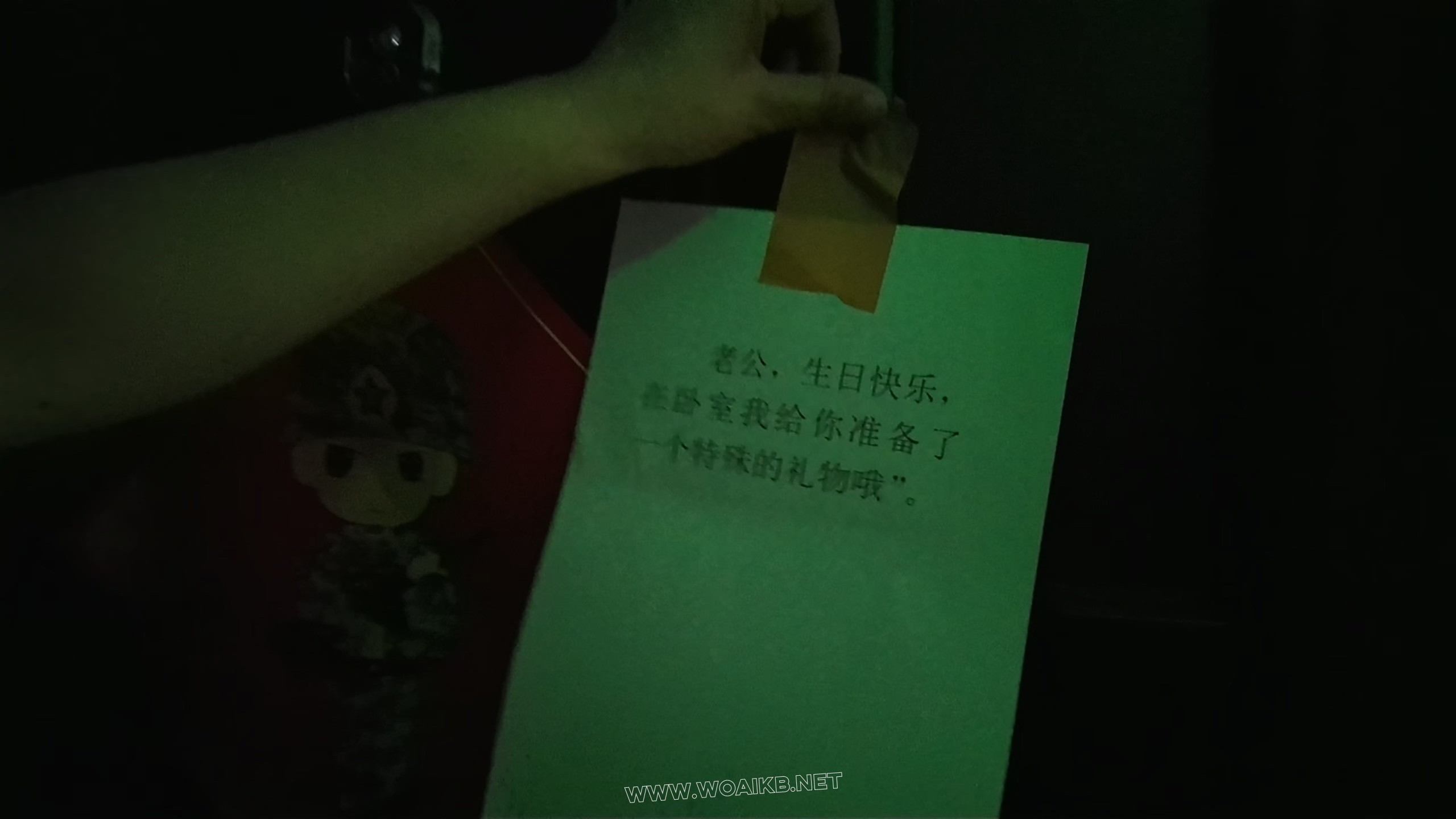 给老公的神秘礼物 预览图 19