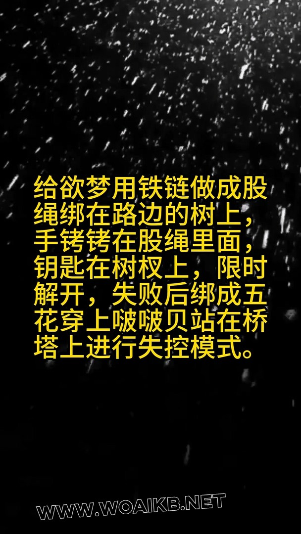 《户外肉丝电击项圈+啵啵贝》191 封面图